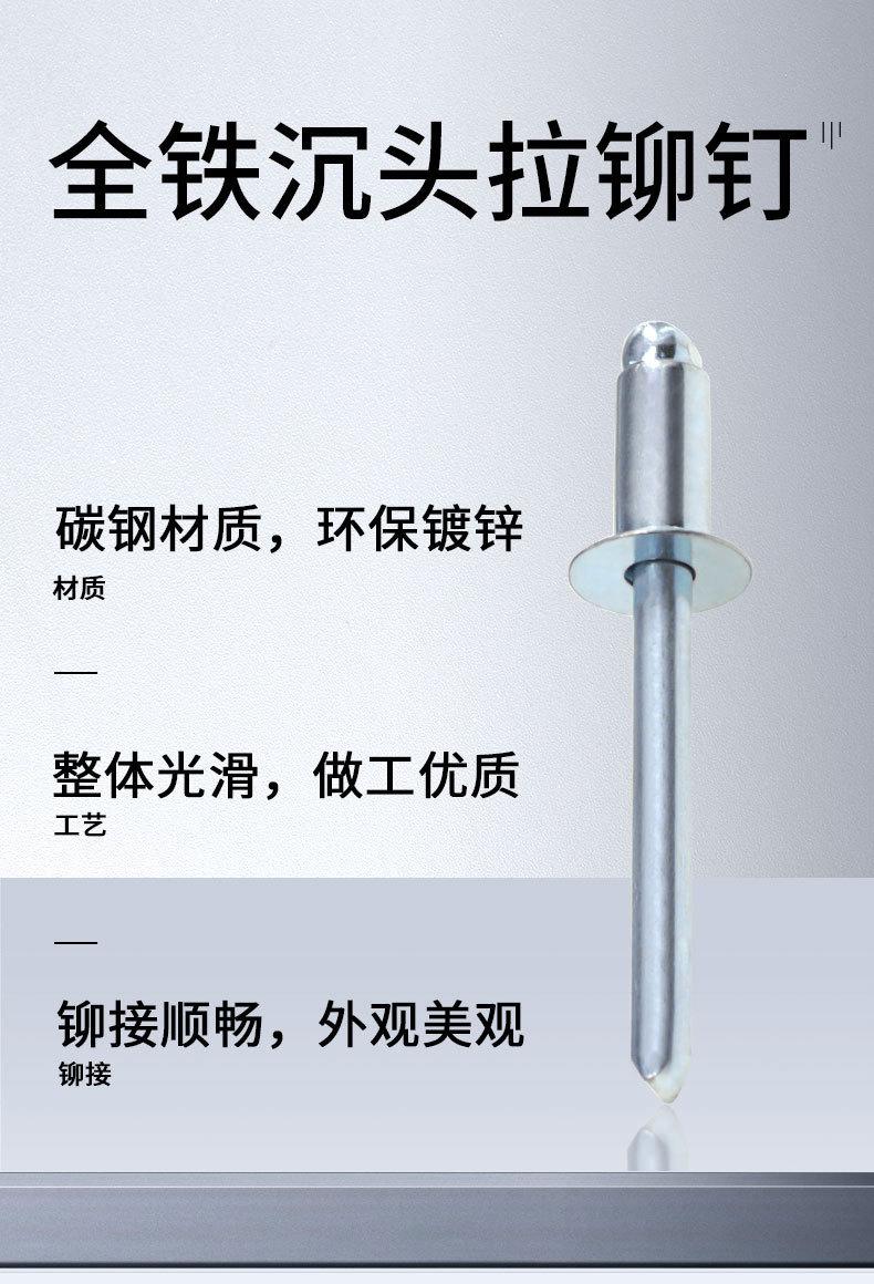 铁沉头_02.jpg