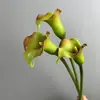 Flores Artificiais PU Lírio-do-calla Flor Falsa Decoração de Casa Toque Realista Lírio-do-calla com Borda Enrolada Haste Longa Alocasia Arranjo Floral de Casamento