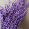Hierba de Amante Flor Eterna Flor Real Natural Ramo de Flores Eternas Caja de Regalo para el Día de San Valentín con Arreglo Floral de Aromaterapia Especial al por Mayor