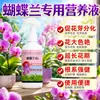 Fertilizante solução nutritiva para orquídea Phalaenopsis fertilizante especial para orquídea promovendo floração brotação enraizamento mudas fortes fertilizante líquido orgânico