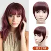 Flequillo Postizo de Comercio Exterior Pieza de Peluca para Mujer Sin Costuras Fibra Química con Patillas Pieza Única Flequillo Espeso Extensión de Cabello Venta al Por Mayor