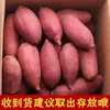 Batatas Frescas de Henan, Batatas Cubiertas de Azúcar, Batatas Cultivadas en Granja de 4.5-5 kg Asadas en Arena, Pulpa Amarilla, Suaves y Pegajosas