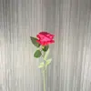Flor Artificial Rosa Individual Rama Única Flor Falsa Retro Europea Rama Única Flor Falsa Decoración Suave para el Hogar