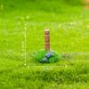 Micropaisaje de musgo, creativo, lindo, cordero, cerdo, granja, bricolaje, jardinería, paisajismo, accesorios, miniadornos