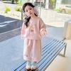 Conjunto de Sudadera para Niñas para Primavera y Otoño 2025, Ropa Elegante para Niños Bebés, Atuendo Deportivo de Moda para Otoño