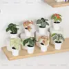 En Stock Hoja Única de Planta Verde Plástico Bonsái Decoración del Hogar Amazon Escritorio Maceta Adorno Pequeño Fabricante de Comercio Exterior