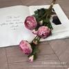 O Pacote de Manual Estilo Mori Mesa de Jantar Lurian Arranjo de Flores Decoração de Sala de Estar Arranjo de Flores Criativo Arte Floral Nórdica Arranjo de Hotel