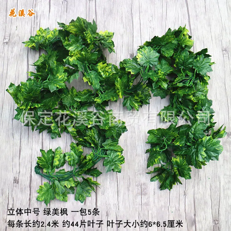 立体中号绿枫.jpg