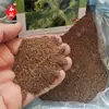Semillas de verdura de hielo de Taiwán, semillas de verdura de cristal de hielo, semillas de verdura de hierba de hielo, plántulas de cuatro estaciones, semillas para macetas