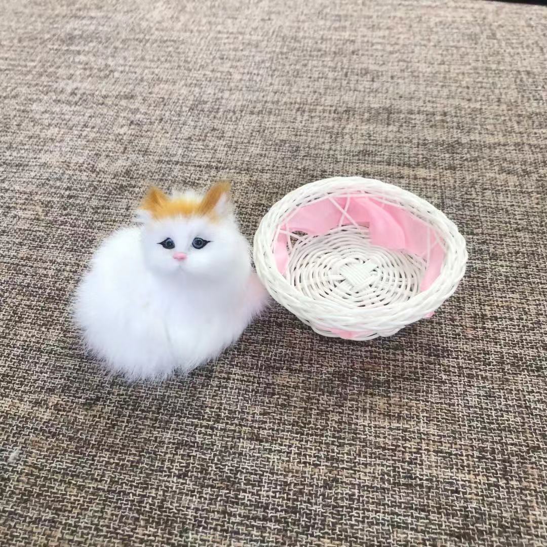 小圆框兔子和猫，和叫猫