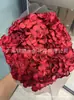 [Niebla Natural Hortensia] Flor Eterna Flor Seca Hortensia Anna Hortensia Lobular Material para Boda DIY Venta al por Mayor