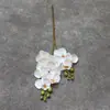 Impresión 3D de simulación mini de 2 puntas estilo coreano pequeña Falenopsis cinta mini pequeña Falenopsis fabricantes al por mayor fotografía