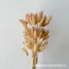 Ramo de flores secas de hierba de cola de conejo teñido anudado con hierba decorativa para regalo a mano Flor de Amazonia 38 Día de la Mujer Flor Eterna