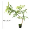 Árbol simulado Mimosa nueva planta biónica Zen china con fruta árbol falso en maceta sala de estar interior planta verde decorativa