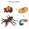 Simulación Transfronteriza Modelo de Araña Real Unicornio Insecto Juguetes para Niños Mariposa Abeja Adornos de Animales