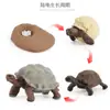 Juguete modelo de animal pequeño simulación ciclo de vida crecimiento rana tortuga pollo Montessori material didáctico preescolar venta al por mayor