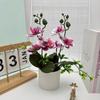 Planta Artificial de Phalaenopsis em Vaso com Flores Transfronteiriça Decoração de Mesa Flor Artificial de Plástico Bonsai Fotografia Vasos de Flores Ornamentos Cabeça de Flor
