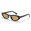 Gafas de sol Raine 2026 Nuevas de Marco Pequeño Transfronterizas Remaches Retro Ojo de Gato para Mujer, Estilo Europeo y Americano, Versátiles Gafas de Sol para Proteger del Sol en Exteriores