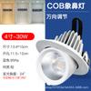 Lámpara empotrada de nariz de elefante foco universal ángulo ajustable bañador de pared LED de 4 pulgadas tienda de ropa foco retráctil antideslumbrante