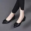 Sapatilhas Femininas de Couro Macio Moda Bico Fino Fivela Quadrada Estilo Novo Outono 2026 Bico Baixo Solado Macio Para o Trabalho Sem Machucar os Pés Sapatos de Couro