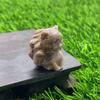 3cm Zorro de Nueve Colas gema de piedra natural pieza tallada flor de durazno accesorios pequeños Venta caliente en Amazon