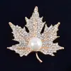 Moda aleación de rhinestone de alta calidad perla de arce broche versión coreana de accesorios boda corsage de novia fábrica al por mayor