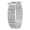 Adecuado para Correa de Apple Watch, Correa de Metal con Cinco Perlas Completamente Diamantada Iwatch11-1 Correa Representativa