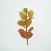 Planta Acuática Artificial Manojo de Tallos Accesorios Hierba de Dinero Simulada Acuario Césped Jardinería Suelo Bonsái Flor Terminada Manojo de Tallos Fábrica Venta al por Mayor