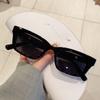 Nueva caja TR jennie red de internet con gafas de sol ins libro rojo pequeño trémolo gafas de sol una generación de cabello