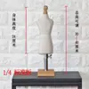 Maniquí de Corte 3D para Enseñanza Estudiantil, Modelo de Maniquí Pequeño, Modelo de Exhibición Mini, Diseño de Prendas, Maniquí de Corte 3D