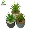 Simulación planta suculenta súper grande tamaño pequeño suculenta bonsái planta verde flor de plástico en maceta micro paisaje con pared vegetal