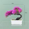 Nova planta de simulação em vaso Xiangyun pinheiro de boas-vindas bonsai ornamentos sala de estar interior decoração de casa flores de simulação