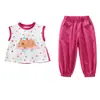 Conjunto de Chaleco para Niña Verano Elegante Pantalón Anti-Mosquitos para Niña Pequeña Conjunto de Dos Piezas 2026 Nueva Ropa de Verano para Niños