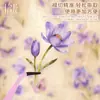Série de Cartas Ilha das Flores Atemporal Pacote de Adesivos de Animal de Estimação Tema Floral Material para Diário Decoração Colagem 6 Estilos