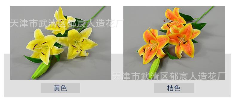 详情_03.jpg