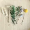 Flores secas, flores preservadas, incienso sin llama con aroma a canela, marco de fotos, abanico redondo, kit de materiales para manualidades, materiales florales, cáscaras de frutas secas, accesorios, adornos de cristal