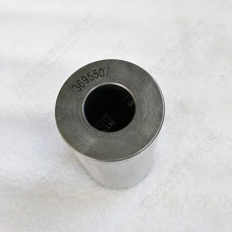 3695507 (1).jpg