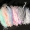 100 Piezas de Puntas de Pluma de Pavo de Colores de Xinjiang, Adecuadas para Manualidades DIY y Rellenar Bolas Bobo