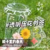 Marcador de Página de Flor Seca Espécime de Planta Filme Plástico Coleção de Outono Folha de Bordo Material DIY Artesanal Pintura com Cola de Folha Transparente