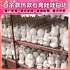Personalización de Muestras de Yeso para Aromaterapia, Piedra Difusora, Pastillas de Aromaterapia, Productos Transfronterizos, Tazas de Yeso para Velas, Selección de Regalos Corporativos