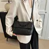 Bolsas 2026 Verão Novo Estilo Bolsas Femininas Bolsas Transversais com Corrente Bolsas de Ombro Bolsas Mini de Ombro Venda por Atacado de Fábrica
