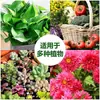 Solución Nutritiva Universal para Plantas para Uso Doméstico, Adecuada para Cultivar Flores, Plantas Verdes, Hidroponía, Suculentas, Plantas en Maceta y Árboles de Dinero; Fertilizante Líquido