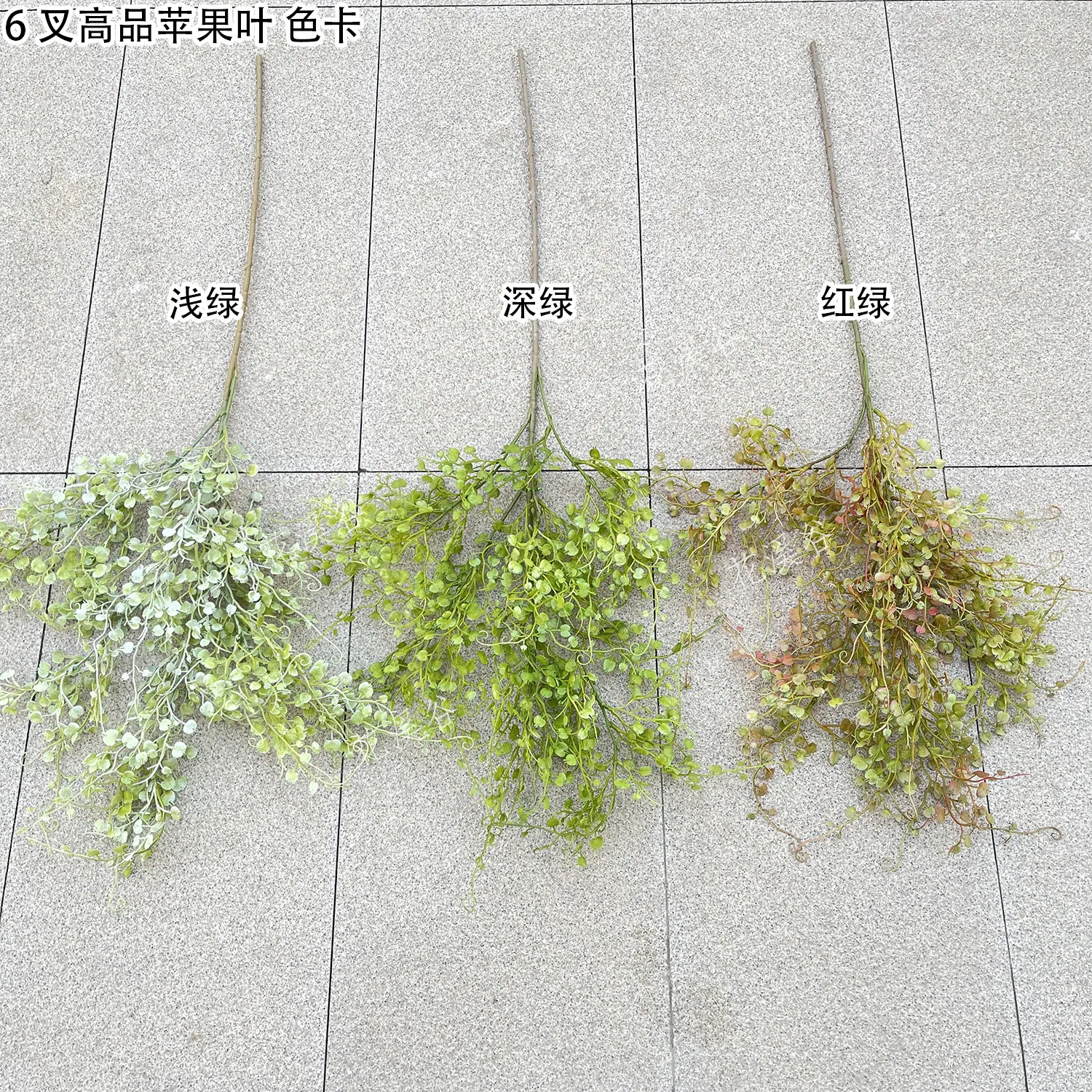 6叉高品苹果叶 色卡 4.8元 花溪谷.jpg