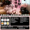 Decoración de Escena para el 12º Cumpleaños de Niña Tema Hello Kitty Fiesta Atmósfera de Hotel Decoración con Globos Tablero Kt