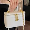 Bolso de Cadena de Nicho para Mujer Primavera 2026 Nuevo Elegante Bolso Cruzado al Hombro de Moda para Viajes Diarios Bolso Cuadrado Pequeño