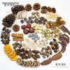 Pinha de jardim de infância flor seca materiais diy sementes de frutas secas plantas de decoração bolotas espécimes taibao frutas trigo feito à mão