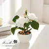 Plantas de Bonsái de Rosas Pequeñas Suministradas Directamente por el Fabricante, Plantas Artificiales para Decoración de Interiores, Flores Falsas, Envío Directo de Una Pieza, Plantas Simuladas en Maceta