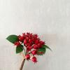 Fábrica atacado simulação rosa mosqueta fruta rica espuma fruta casamento fotografia decoração para casa conjunto atacado