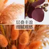 Bouquets de Flores Secas Fabricante Transfronterizo de Amazon Venta al por Mayor Pequeños Manojos Mixtos de Juncos Pequeños, Hierba Cola de Conejo y Bouquets de Flores Secas