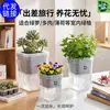 Maceta de Plástico Transparente Gruesa Cuadrada Corta para Flores Suculentas Maceta Hidropónica para Plántulas Bandeja para Remojar Plantas en Maceta Accesorios de Jardinería